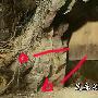 牛人！竟然发现大话西游的穿帮镜头[组图]