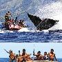 印尼原始渔民标枪绳索捕获大鲸鱼(组图)
