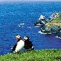 旅游之最：世界十大奇异之旅(组图)