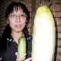 巨型黄瓜长41厘米重约3公斤(图)