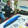 今年全国钓到最大鱼将被拍卖(图)
