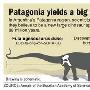科学家发现最完整巨型恐龙化石 有4层楼高(组图)
