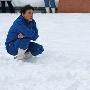 南京:两只企鹅雪地里“约会＂培养＂性趣”(图)