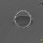 澳大利亚打造世界最小钻石环：直径5微米（图）