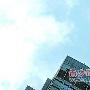 法国蜘蛛人徒手成功登顶香港64层高楼(组图)