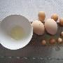 母鸡产下一角硬币大小鸡蛋 没有蛋黄(图)
