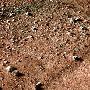 美国“凤凰”号探测器在火星着陆并传回照片(组图)