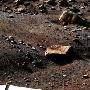 凤凰号发回最新照片 首次见证火星落日[组图]