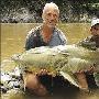 生物学家在印尼逮到1.8米长“食人巨鲶”（图）