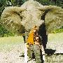 法国女孩和非洲野兽一起长大 将大象当作“哥哥”[组图]