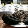 美国一饭店展出140岁“高龄”的龙虾[图]