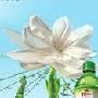 统一绿茶2009茶游天下 开启梦想之旅