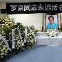 央视成立罗京同志治丧委员会 台长焦利担任主任