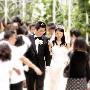 女主播最受富豪宠 看伊们如何与富豪对上眼(图)