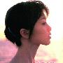 酒井法子迷失东瀛 全日本国民搜索寻玉女(图)