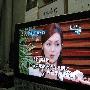 酒井法子吸毒登《福布斯》专栏 前途几尽全毁