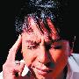 甄子丹：4年后我坚决不打了 入行26年伤痕累累