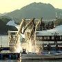 《海豚湾》获奥斯卡奖 引发其实拍地的市长抗议