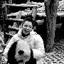 徐若瑄再次认养两只大熊猫 取名大白和小白(图)