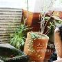 全度妍谈新片《下女》 指出床戏感情比视觉重要
