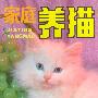 家庭养猫