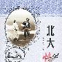 北大情书