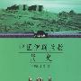 中国伊斯兰教简史