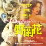野兰花(2VCD)