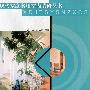 植物装点  现代家庭实用室内装修丛书