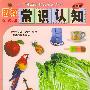 图解常识认知（4-6岁）——小牛津幼儿教育练习系列