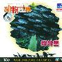 动物世界:柳叶鱼(VCD)