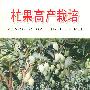 杧果高产栽培