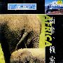 勇闯天涯系列:南非 赖索托(VCD)