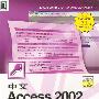 中文Access 2002专家（附光盘）