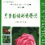 月季栽培彩色图说