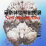 最新神经解剖图谱