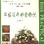 吊蓝花卉彩色图说