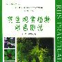 阴生观赏植物彩色图说