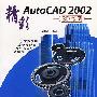 精彩AutoCAD 2002(3D绘图)  (含盘)