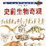 科文图解少年百科全书：史前生物奇观（生物卷—B分卷）