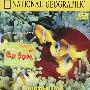 大堡礁(VCD)