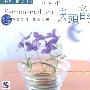 床头音乐:抒情古筝(四)(CD)