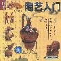 陶艺入门(VCD)