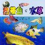 PET 宠物系列——热带鱼·水草