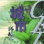 城市环境生态学