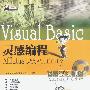 Visual Basic灵感编程(附光盘)