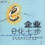 企业e化七步