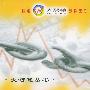 大智慧丛书:我要解套(含光盘一张)