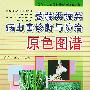 葱蒜类蔬菜病虫害诊断与防治原色图谱（蔬菜病虫害图谱诊断与防治丛书）