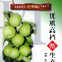 优质高档梨生产技术——金地地工程·优质高档果生产系列